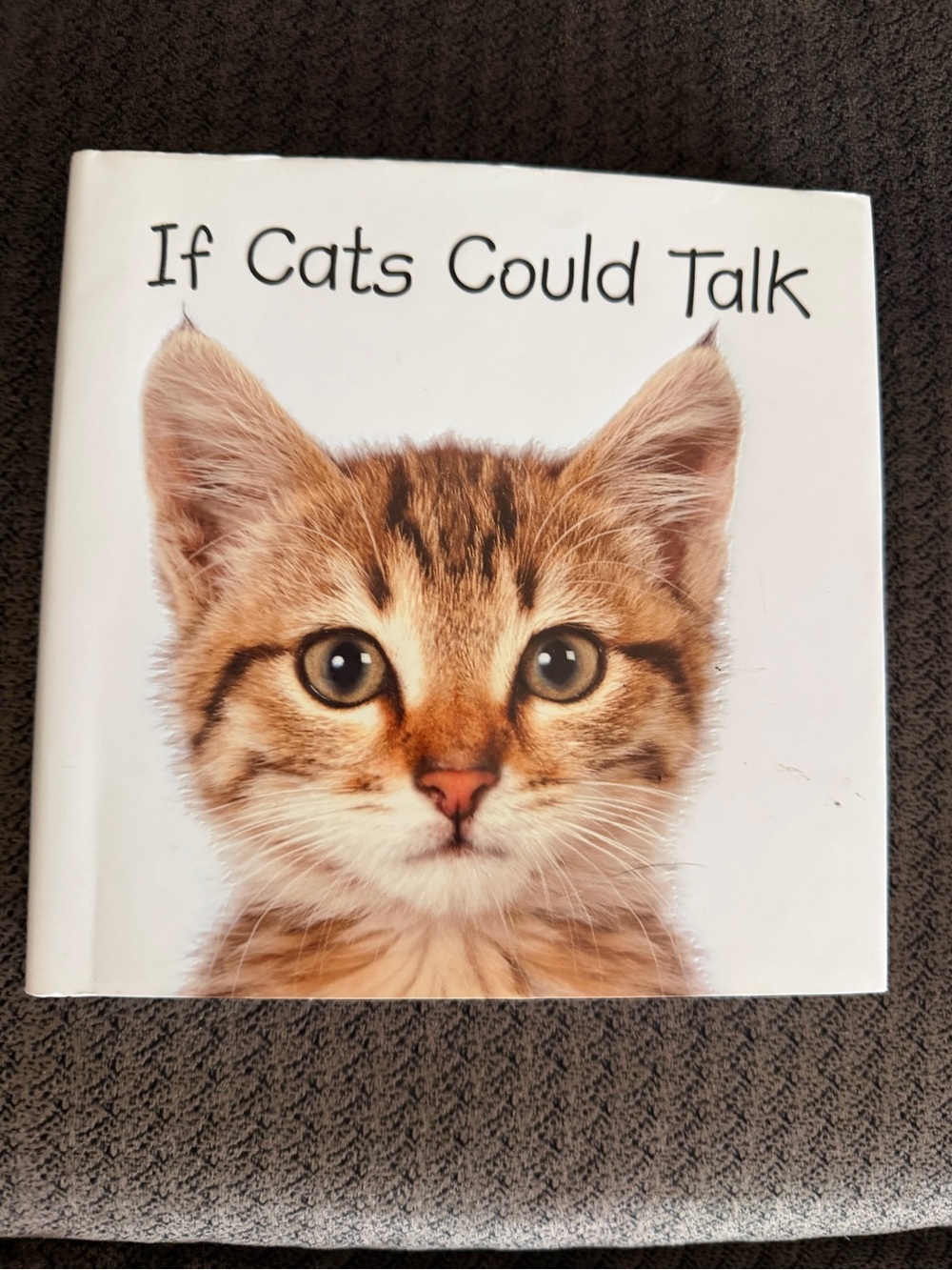 If Cats Could Talk Cat Photo Book - Brown Tabby Cover